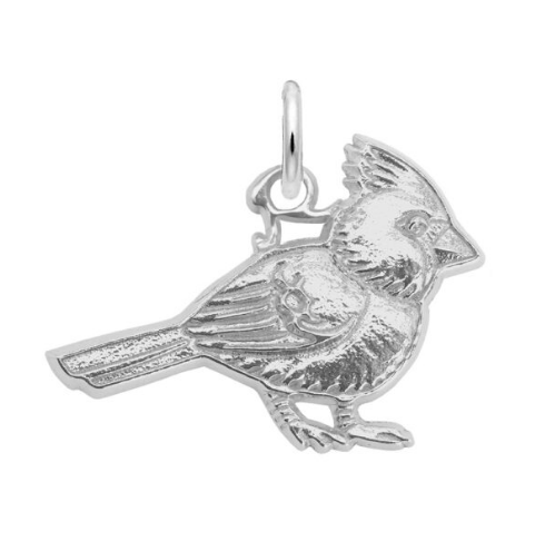 Cardinal Flat Charm - Rembrandt