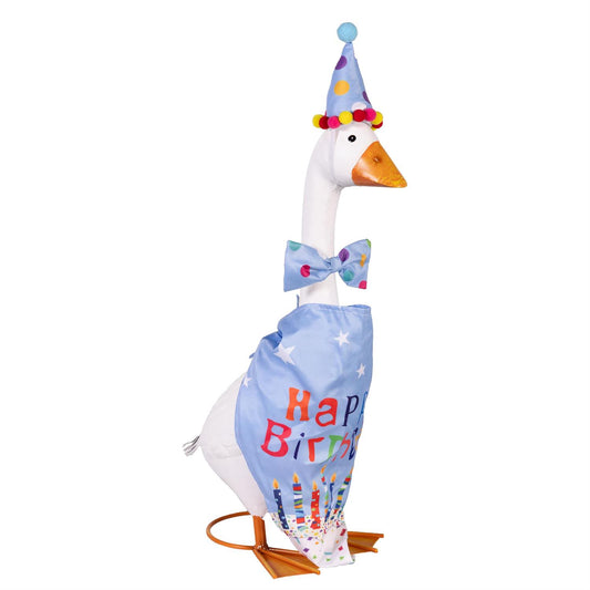 TD6R2GS25 Evergreen Porch Goose Birthday Boy Outfit