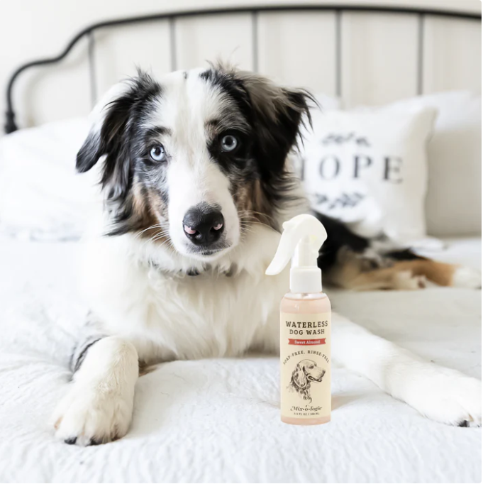WDW-BERRY Mix-o-logie Waterless Dog Wash in Sweet Berry