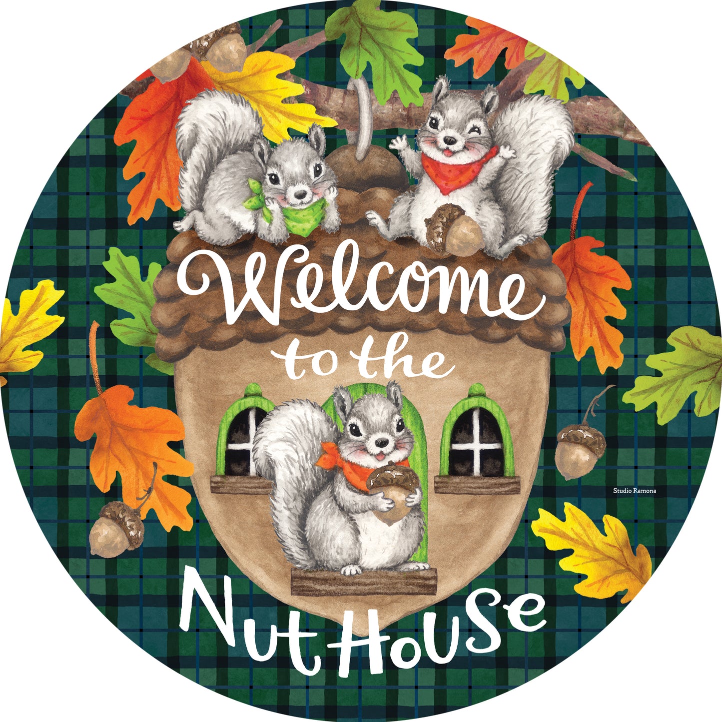 5962MG Custom Decor Accent Magnet Nuthouse Squirrel
