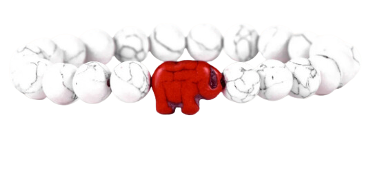 Fahlo The Expedition Bracelet in White Howlite