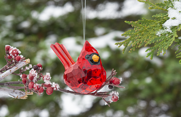 Cardinal Ornament