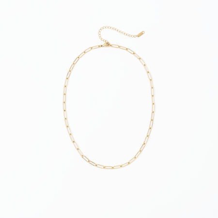 PVDCN100 Meralora Paperclip Chain Necklace