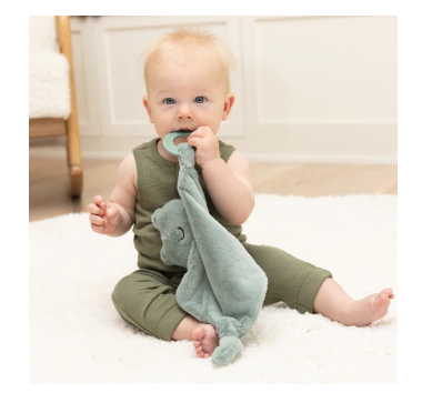 Bella Tunno Teether Buddy Freddie the Frog