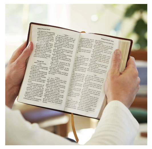 KJV Holy Bible: Personal Size Giant Print