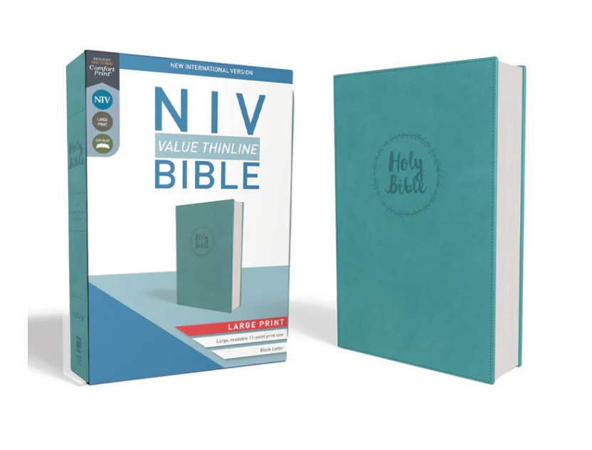 NIV Thinline Bible - Turquoise