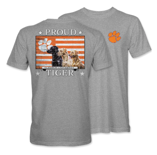 Youth Clemson University Proud Tiger Labs Short Sleeve T-Shirt