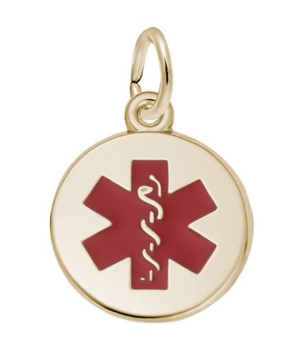 5203 Rembrandt Gold Plated Sterling Silver Charm 0