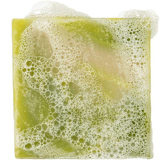 Dr. Squatch 5oz Bar Soap - Cool Fresh Aloe