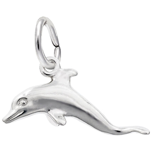 Dolphin Charm - Rembrandt