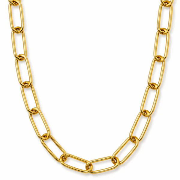 117 Ellie Vail Waterproof Gold-Plated Stainless-Steel Carla Paper Clip Chain Necklace