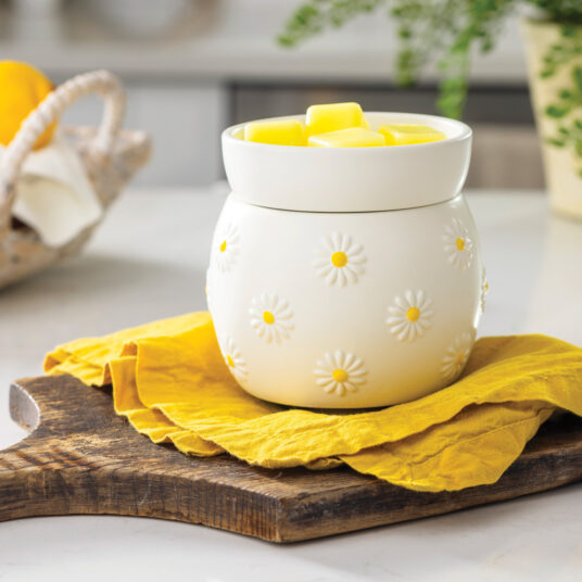 WWDSY Candle Warmers Daisy Wax Warmer