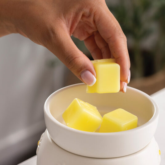 WWDSY Candle Warmers Daisy Wax Warmer