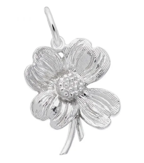 Dogwood Charm - Rembrandt