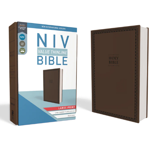 NIV Thin Line Bible With Large Print