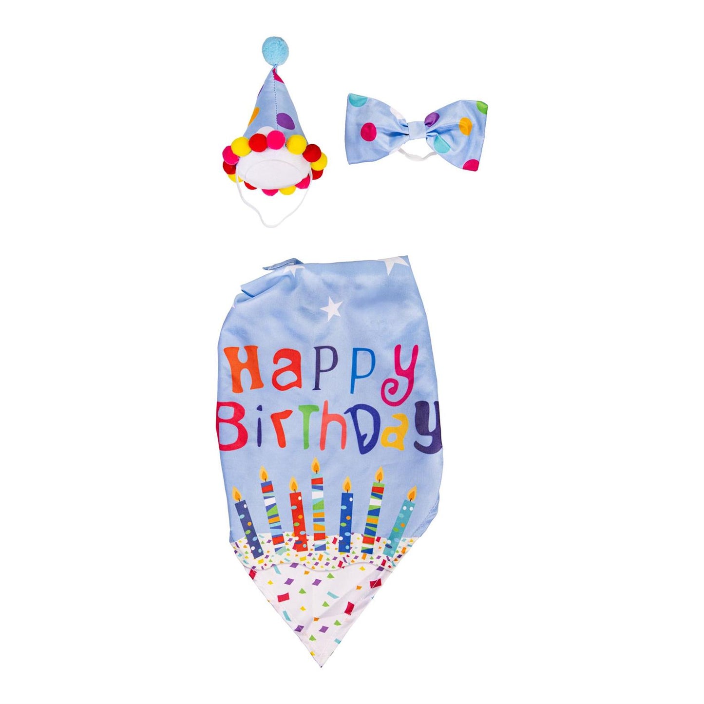 TD6R2GS25 Evergreen Porch Goose Birthday Boy Outfit