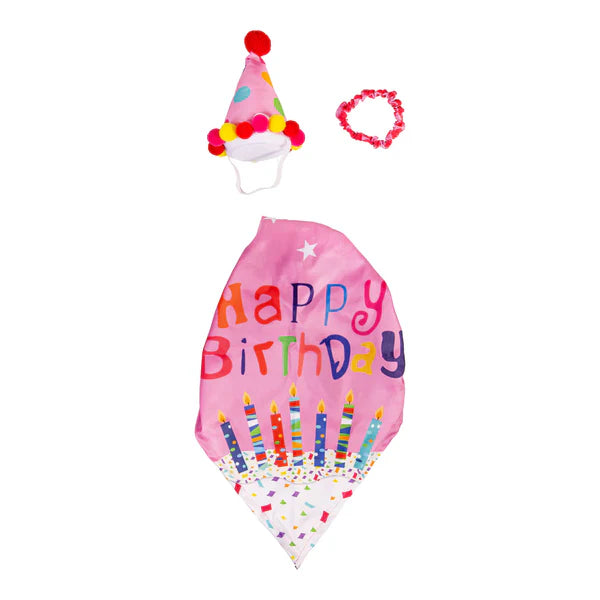 TDFCMGS25 Evergreen Porch Goose Birthday Girl Outfit