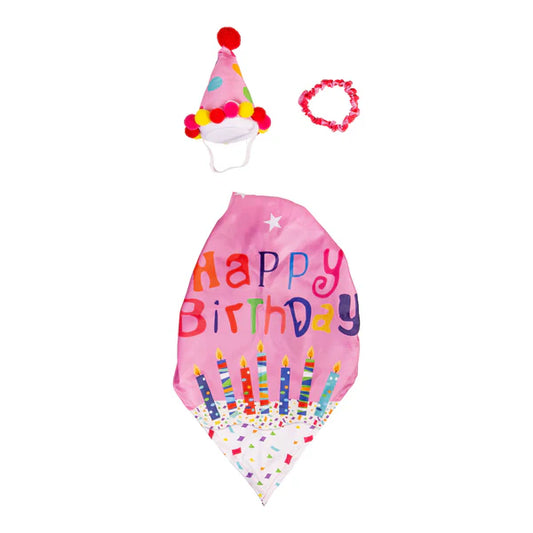 TDFCMGS25 Evergreen Porch Goose Birthday Girl Outfit