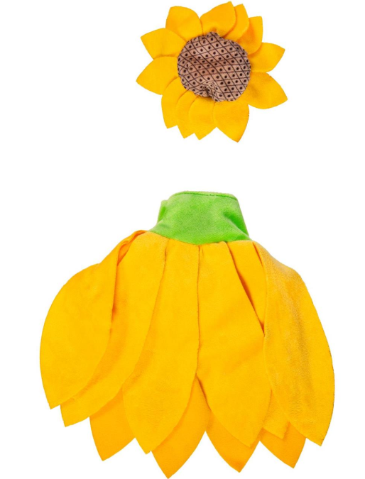 TDHT5GS25 Evergreen Porch Goose Sunflower Outfit