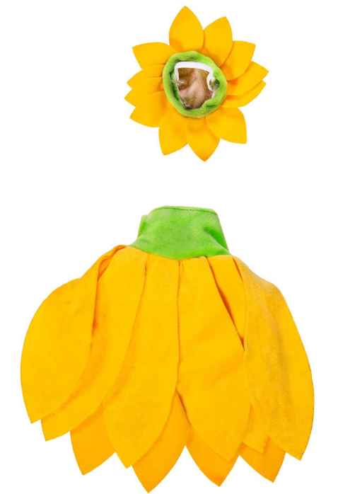 TDHT5GS25 Evergreen Porch Goose Sunflower Outfit