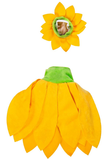 TDHT5GS25 Evergreen Porch Goose Sunflower Outfit