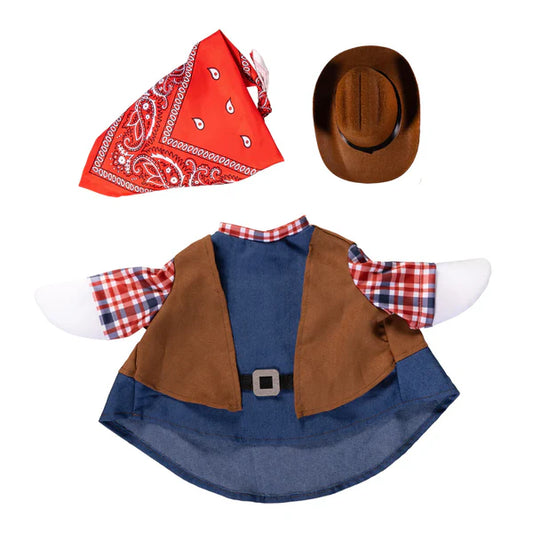 TDG64GS25 Evergreen Porch Goose Wild West Outfit