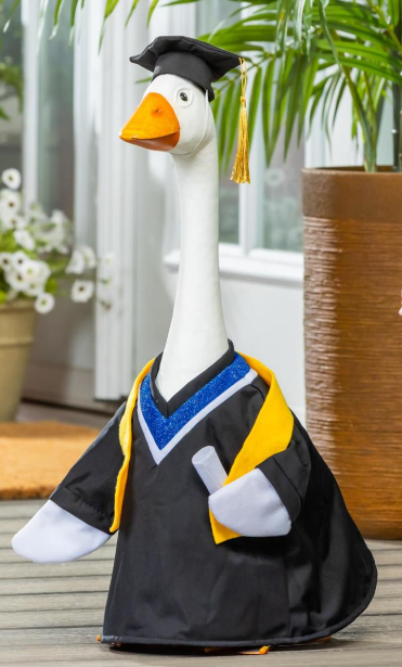 TDYTPGS25 Evergreen Porch Goose Graduation Outfit