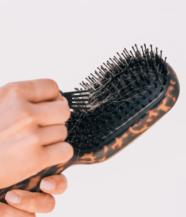 TT-BOAR Teleties Boar Bristle Brush