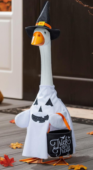 TD5NZGS25 Evergreen Porch Goose Ghost Outfit