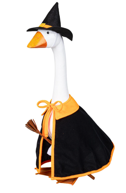 TDJCDGS25 Evergreen Porch Goose Witch Outfit
