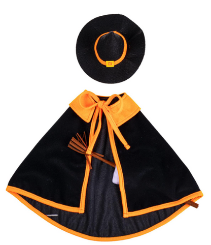 TDJCDGS25 Evergreen Porch Goose Witch Outfit