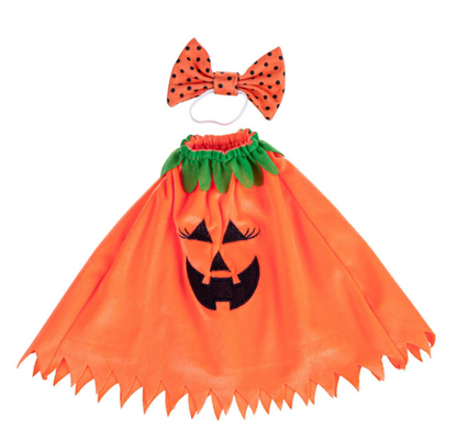 TDSRHGS25 Evergreen Porch Goose Pumpkin Poncho Outfit