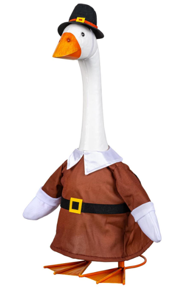 TDWYXGS25 Evergreen Harvest Pilgrim Boy Outfit