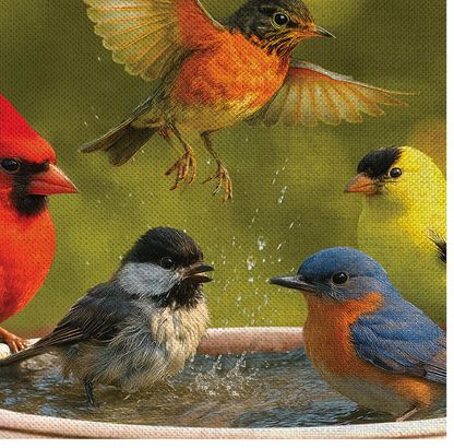 BF694GF26 Evergreen Bathing Birds Burlap Garden Flag 0