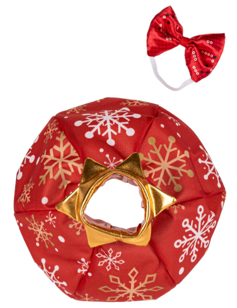 TDMVBGS26 Evergreen Ornament Goose Outfit 0