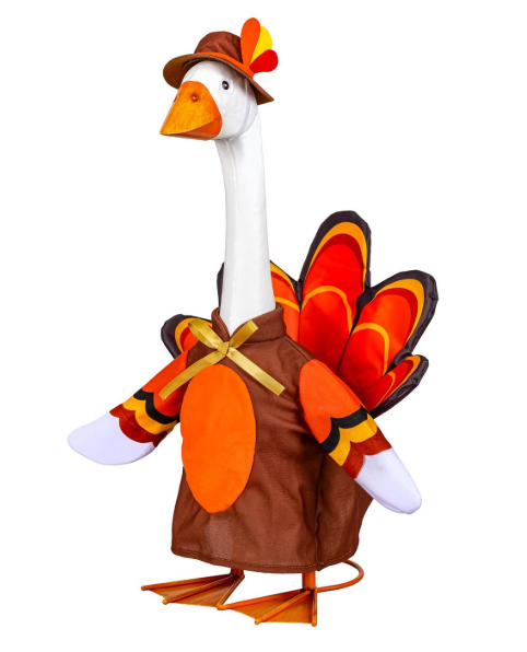 TDTGCGS25 Evergreen Turkey Trot Goose Outfit 0