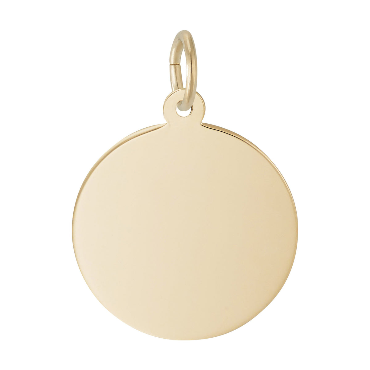 4601-050 Rembrandt Charms Gold Plated Sterling Silver Medium Round Disc-50 Series Charm