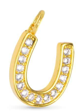 50703 Amanda Blu CZ Horseshoe Charm