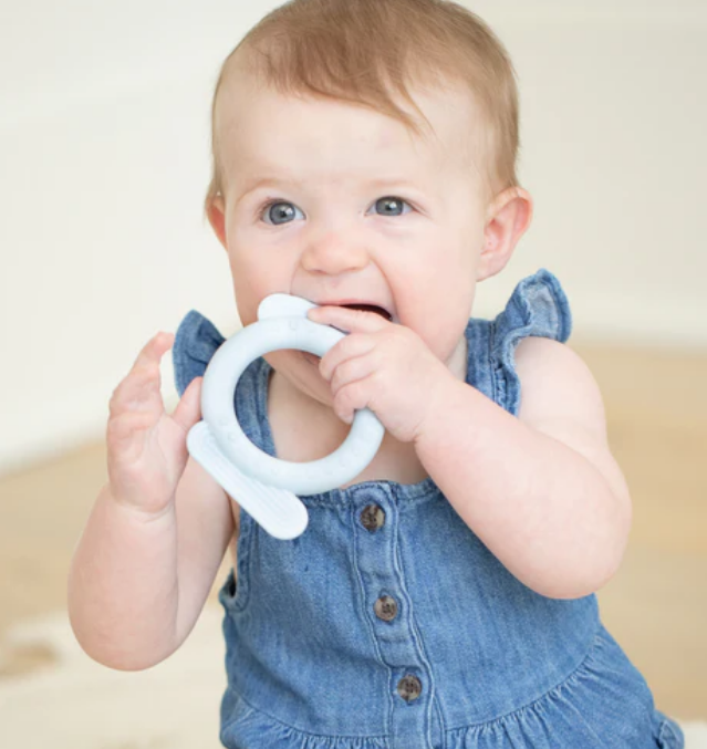 Bella Tunno Dog Rattle Teether