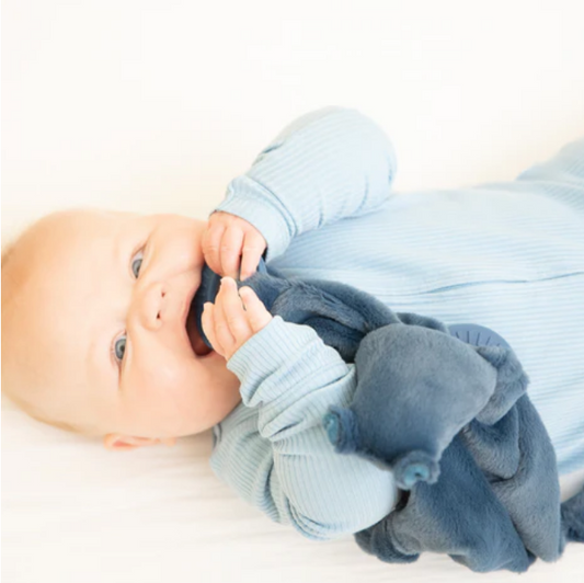 Bella Tunno Hippo Teether Buddy