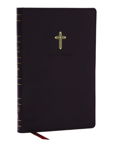 KJV Ultra Thinline Holy Bible in Black