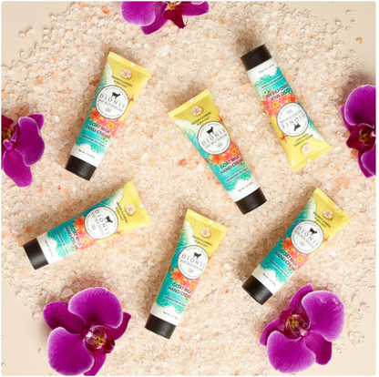 C21000 Dionis Goat Milk Hand Cream in Water Flowers & Sea Salt