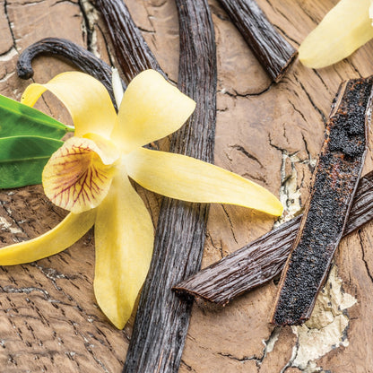 Vanilla Bean Odor Eliminating Melts