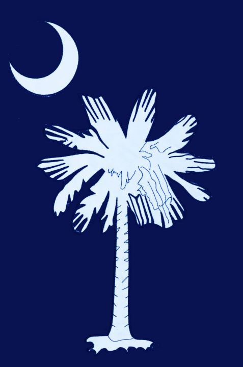 3298FL Custom Decor Palmetto Moon Large Applique House Flag