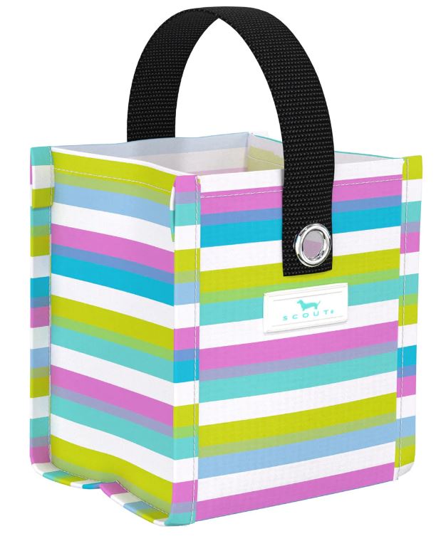 Scout Mini Package - Sweet Tarts