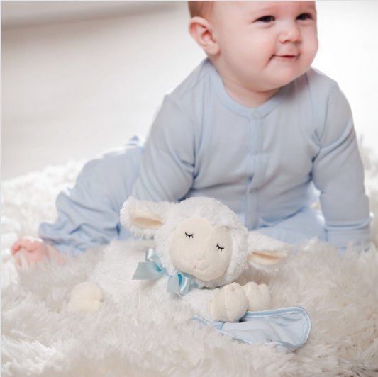 Pray with Me Blue Little Lamb