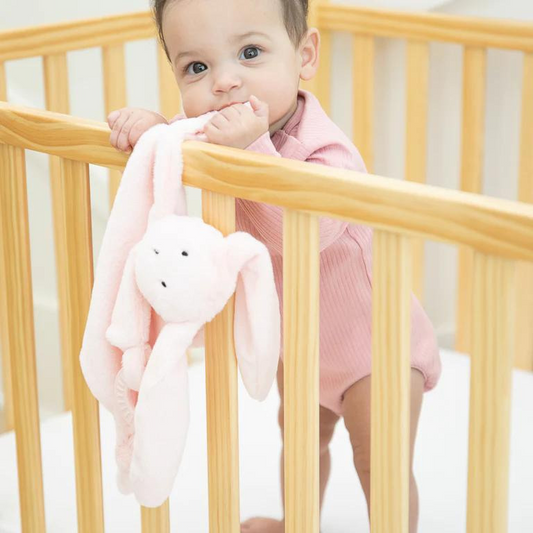 Bella Tunno Teether Buddy Betty the Bunny