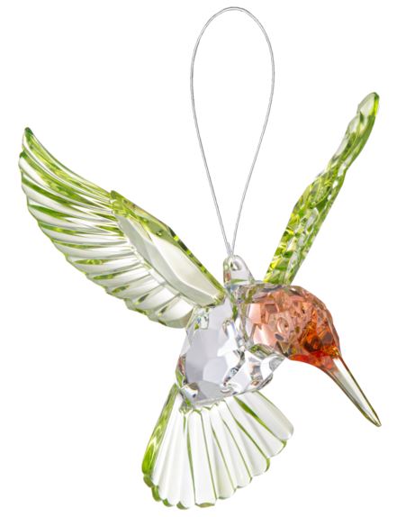 Red Throated Hummingbird