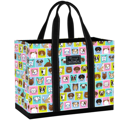 Scout Original Deano - Andy Warhowl