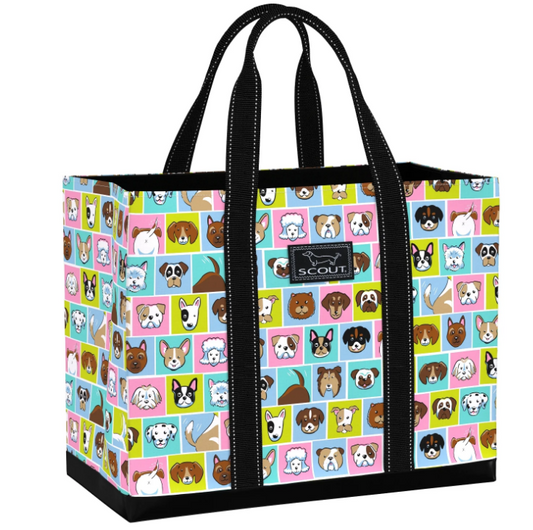 Scout Original Deano - Andy Warhowl